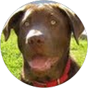 Scott Burgy profile picture