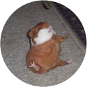 Yey27 profile picture